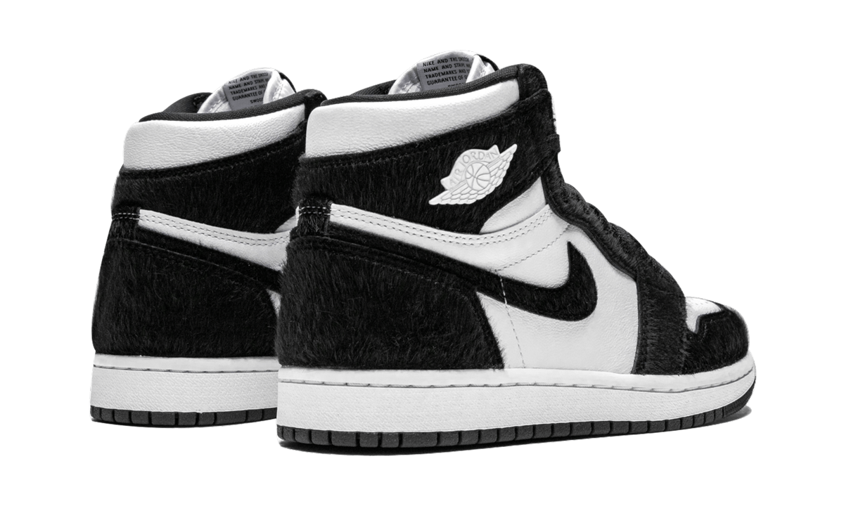 AIR JORDAN 1 RETRO HIGH OG WMNS "Twist" CD0461 007
