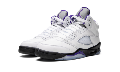 Air Jordan 5 Retro GS "Concord" 440888 141