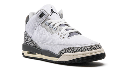 Air Jordan 3 GS "Hide N Sneak" DX6665 100
