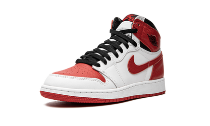 Air Jordan 1 Retro GS "Heritage" 575441 161