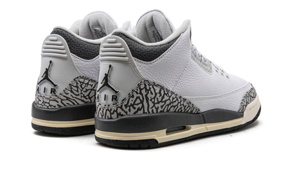 Air Jordan 3 GS "Hide N Sneak" DX6665 100