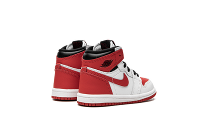 Air Jordan 1 Retro High TD "Heritage" AQ2665 161
