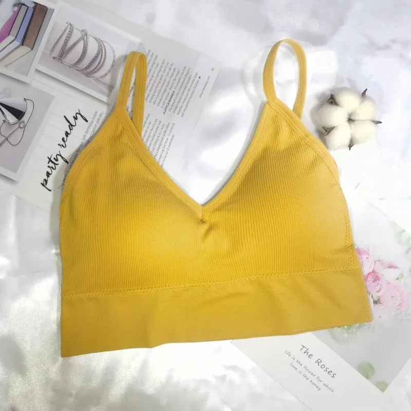 Seductive Padded Bralette Tops