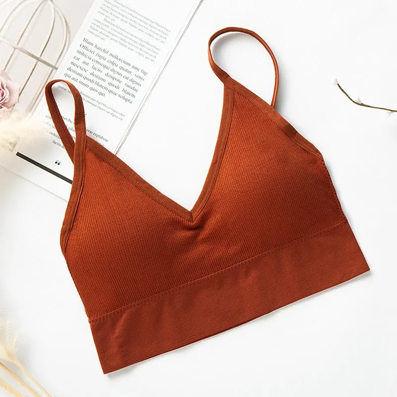 Seductive Padded Bralette Tops