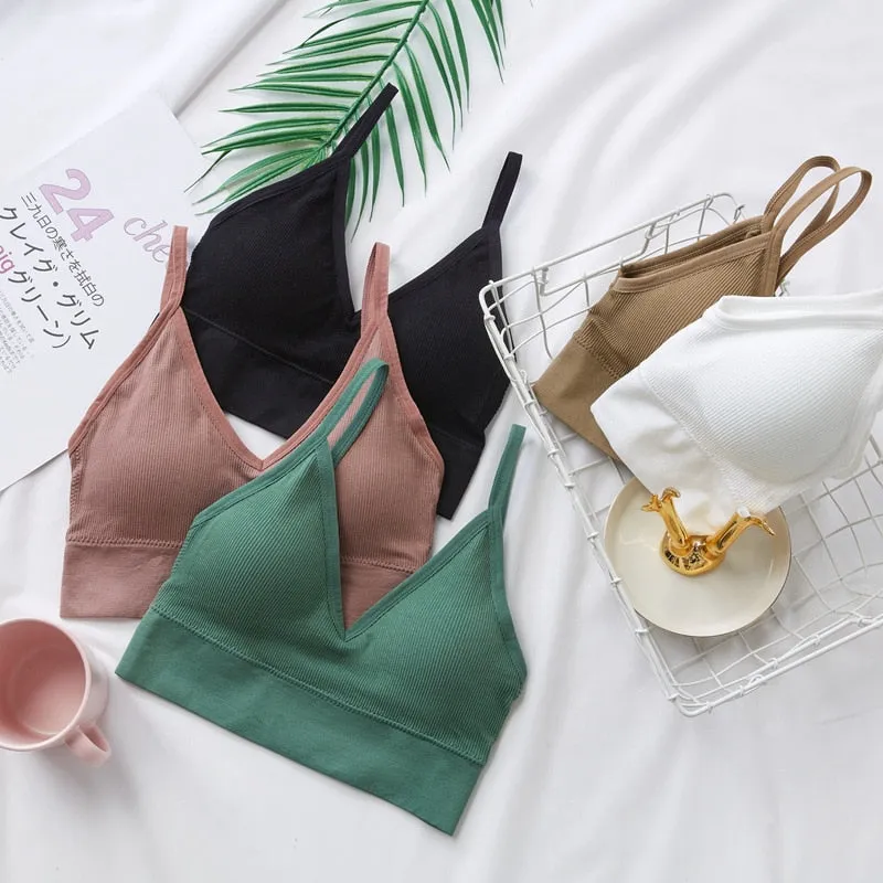 Seductive Padded Bralette Tops